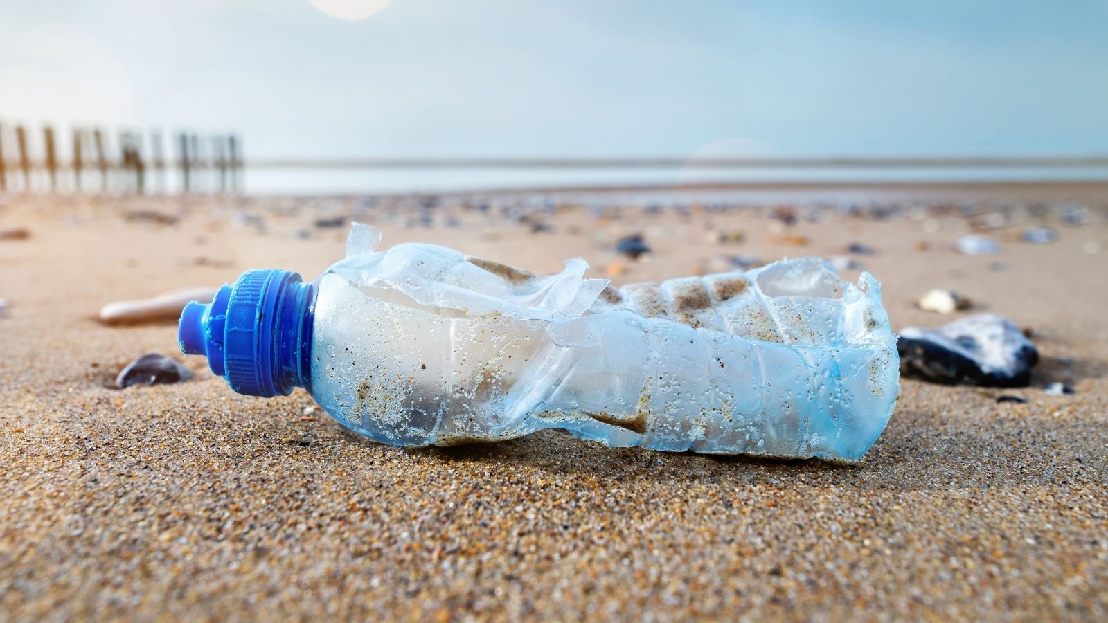 Recycling waste, sustainbility, reducing waste